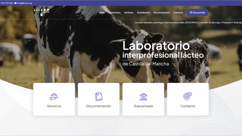 Web de Lilcam diseñada por GrupoDW